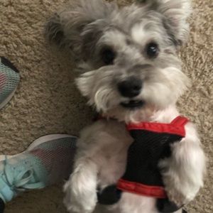 Meet your Posher, Madison